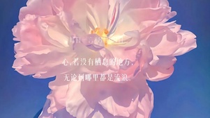 治愈芍药花