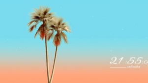 海边椰树