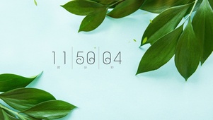 小清新绿植桌面