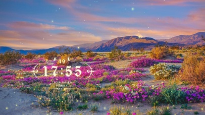 4k夕阳下的花园