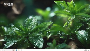 晶莹的雨滴