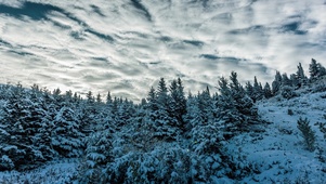 云动雪