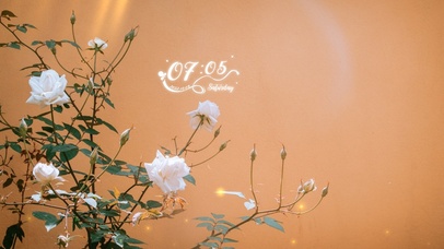 4k高清简约清新系列