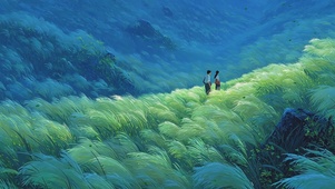 漫山自由的风