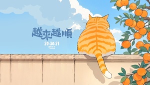 越来越顺 可爱猫咪