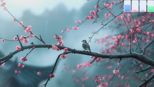 雨中小鸟