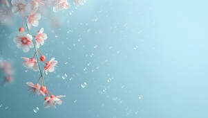 雨中花