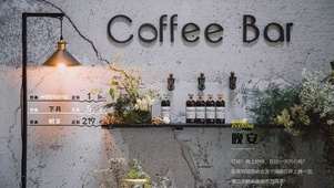 Coffee  Bor