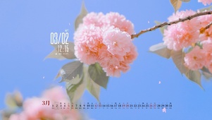 4K唯美治愈樱花-真实时间日历