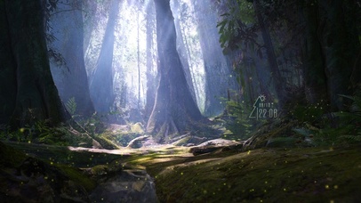 4K晨曦阳光森林