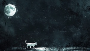 小猫与圆月