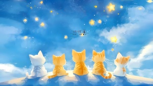 看星星的猫咪