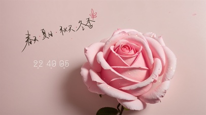 简约清新花卉桌面