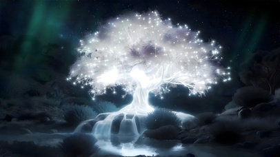 4K 梦幻绝美 极光下的神仙树