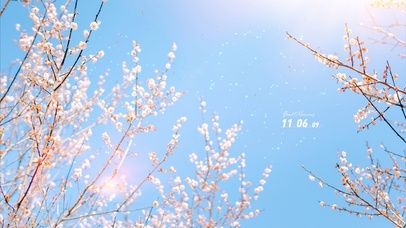 春天盛开的花朵