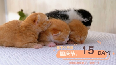 马上就能放假了 再坚持一下 