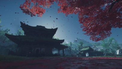 枫叶