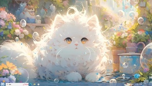 可爱小白猫