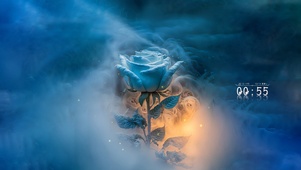 梦幻蓝色玫瑰