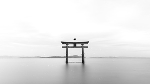 黑白情