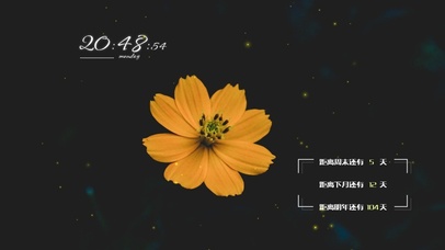 4k高清简约冷美系列