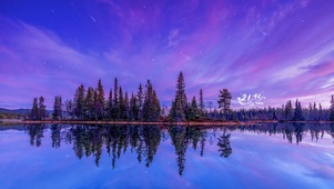 4k 唯美夜晚星空森林湖泊