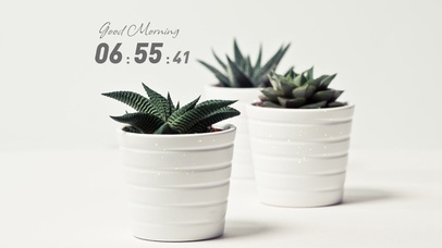 4k高清极简ins风格系列