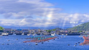 4k 治愈清新夏日阳光海港