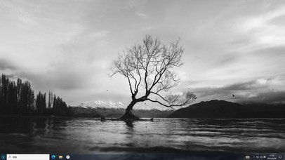 枯藤老树—【主题桌面】