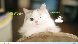 对你眨眼的小猫咪