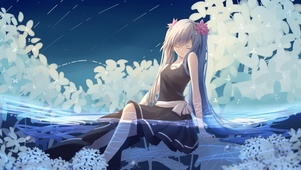 水中小可爱