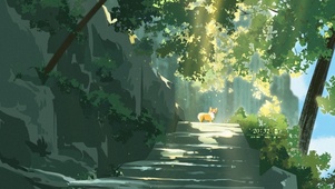 治愈柯基