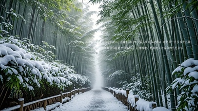 雪中竹林