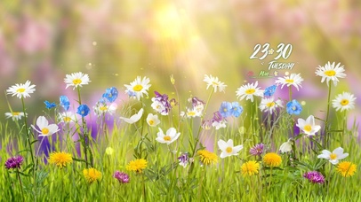 4k 治愈唯美清新阳光花丛