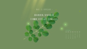 高级干净护眼清新壁纸