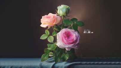 清新护眼 治愈花朵