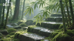 青阶竹林听雨