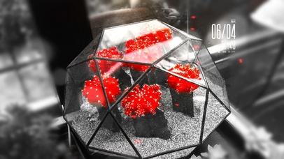 极致6K原画超清静物 【葬爱】