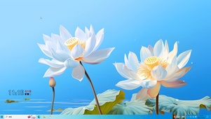 唯美白色莲花