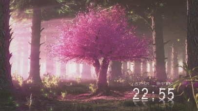 樱花树下的时钟