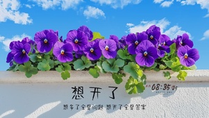 想开了