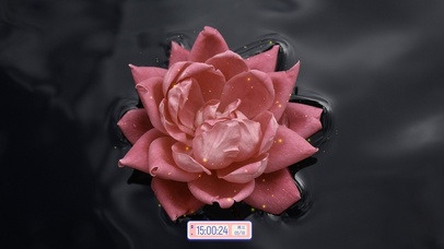 唯美治愈玫瑰花