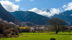 林芝风景