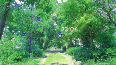 夏日森林公园小路