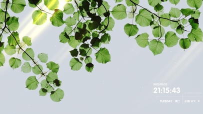 4K唯美绿色护眼简约树叶