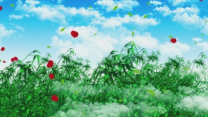 唯美清新的水墨竹林