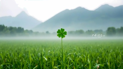 唯美小清新绿叶