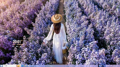 徜徉花海主题壁纸