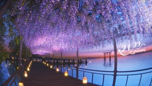 唯美治愈夕阳海景