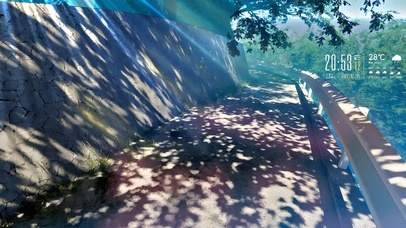 阳光透过树梢公路